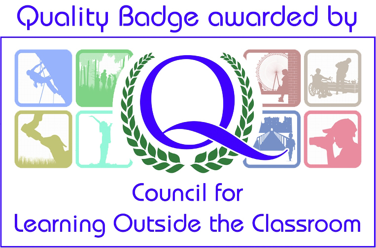 Learning Outside the Classroom