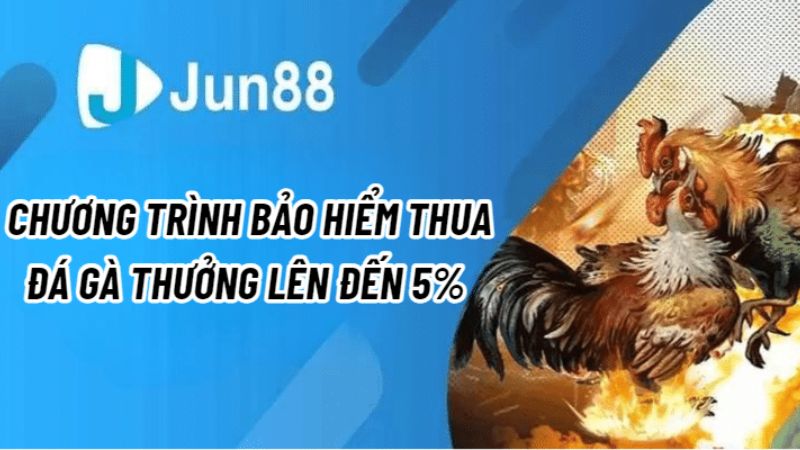 Thông tin chính thức bảo hiểm thua đá gà Jun88